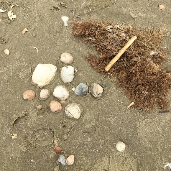 Meet your Posher, Roxanne - Picture 13 of 15